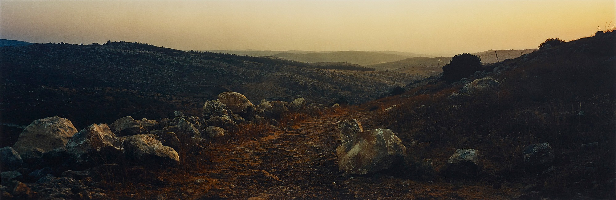 <b>WIM WENDERS</b> <i>The Road to Emmaus, near Jerusalem</i>, 2000