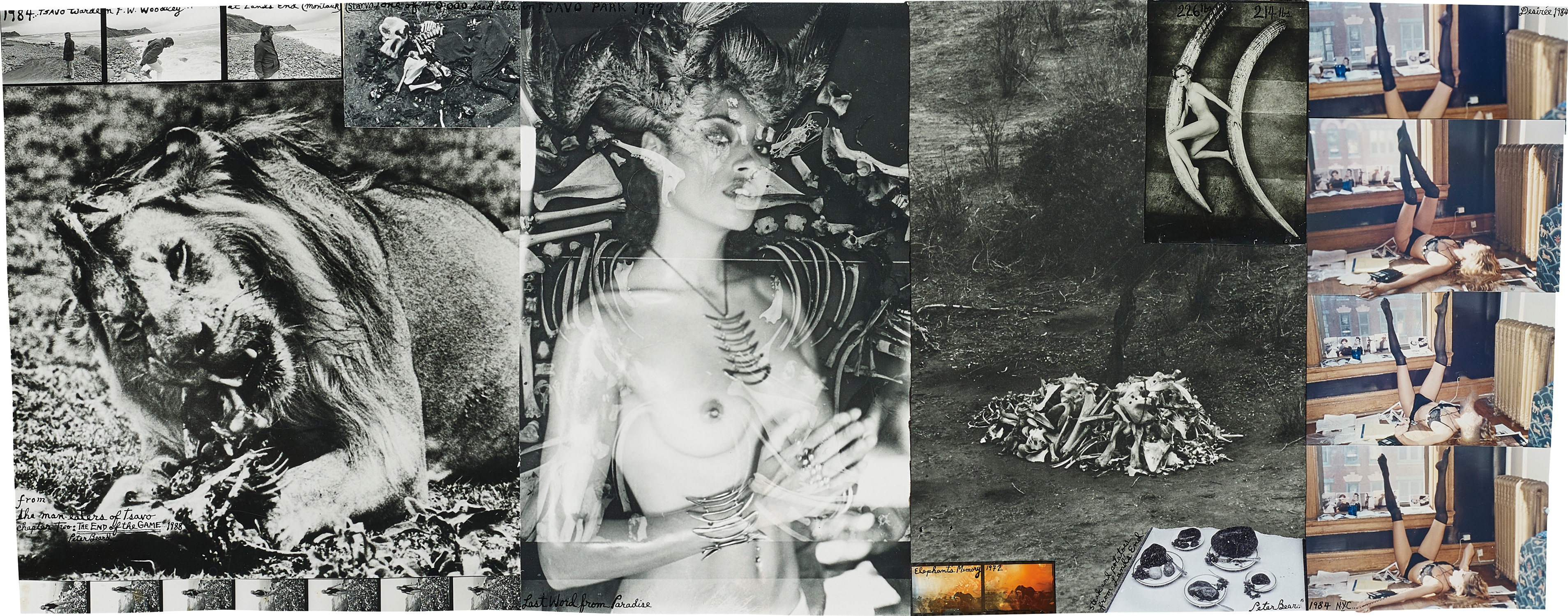 Brought to you by Phillips