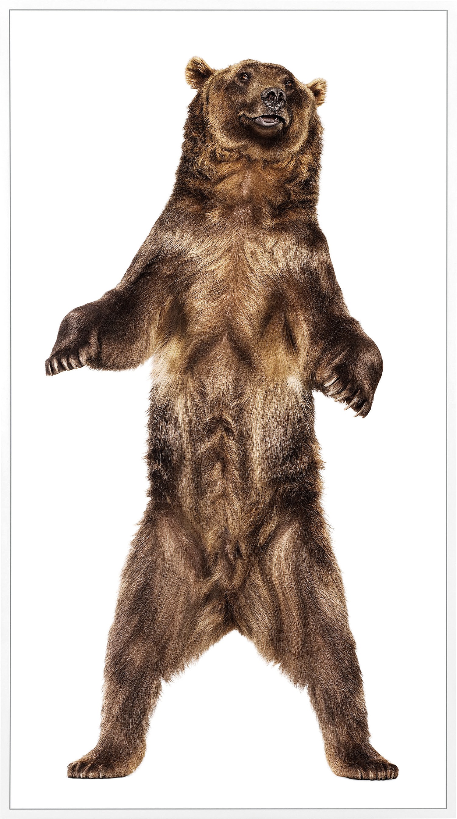 Brought to you by Phillips