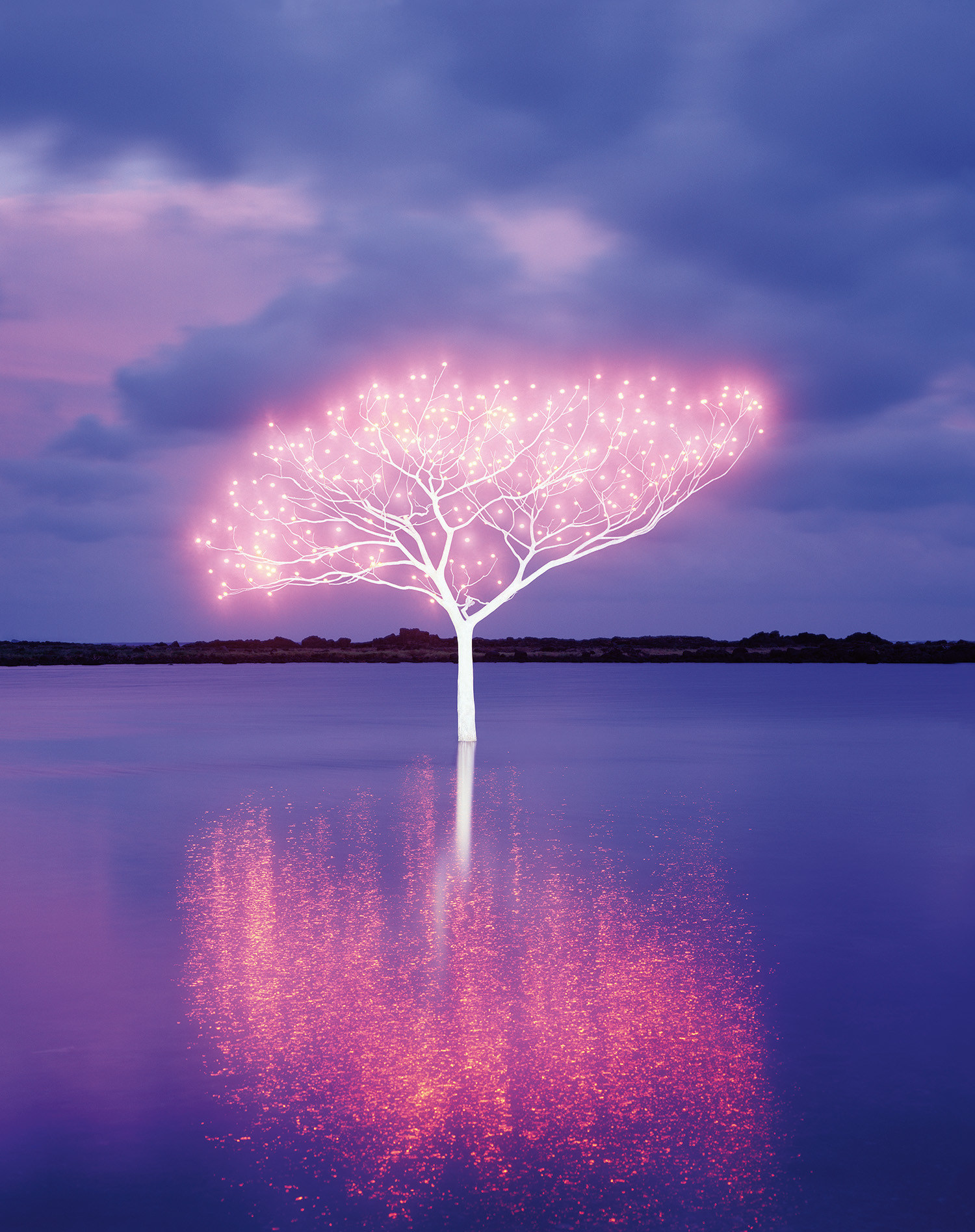 Brought to you by Phillips