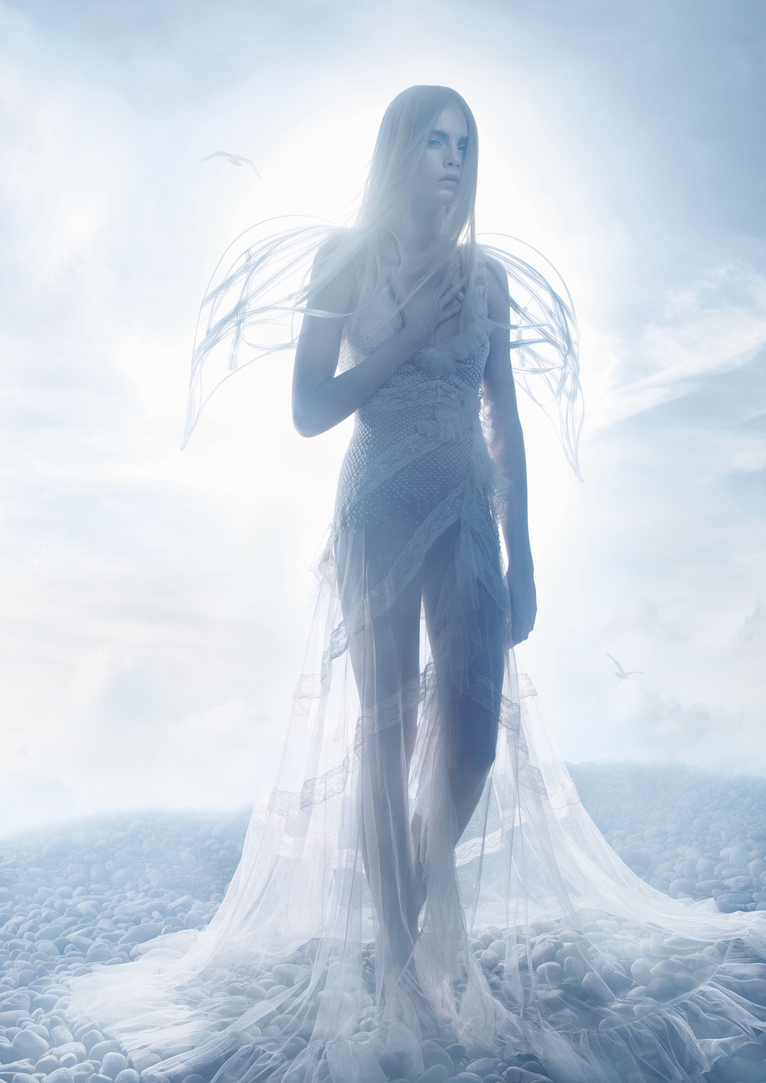 Brought to you by Phillips