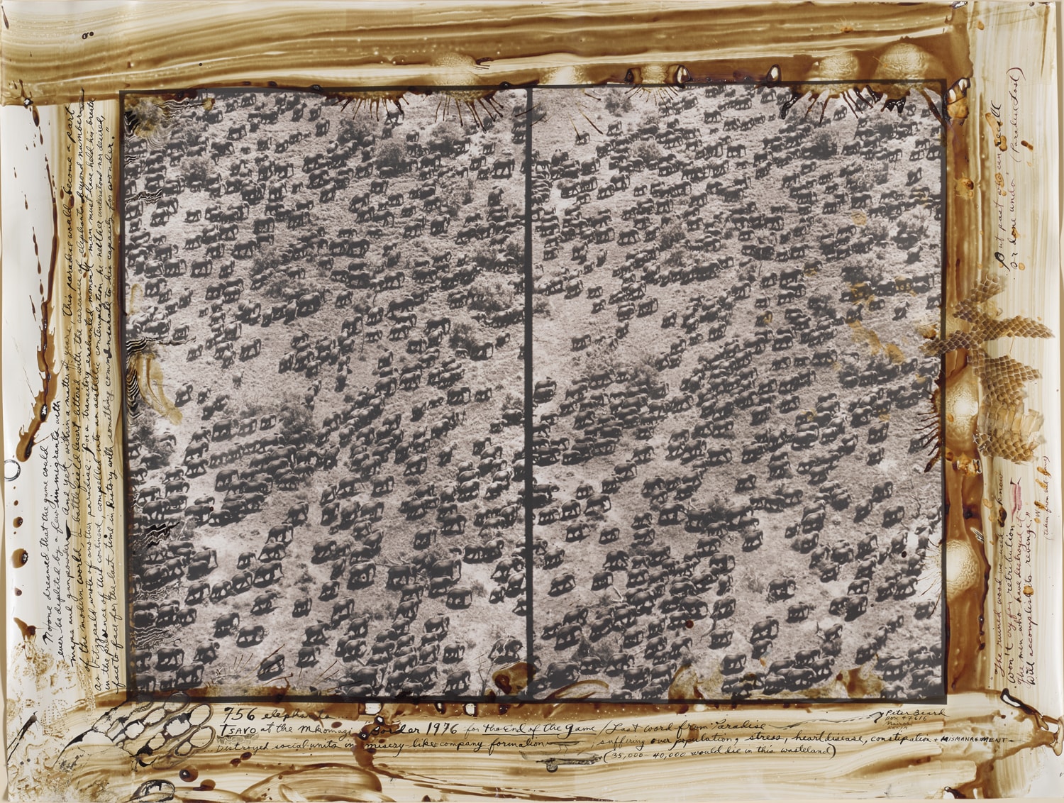 <p><strong>PETER BEARD </strong><em>756 elephants / Tsavo at the Mkomazi Border 1976 for The End of the Game / Last word from Paradise / &hellip;Destroyed social units in misery-likes company formation; Suffering over population, stress, heart disease, constipation + MISMANAGEMENT / (35,000-40,000 would die in this wasteland)</em>, 1976</p>
