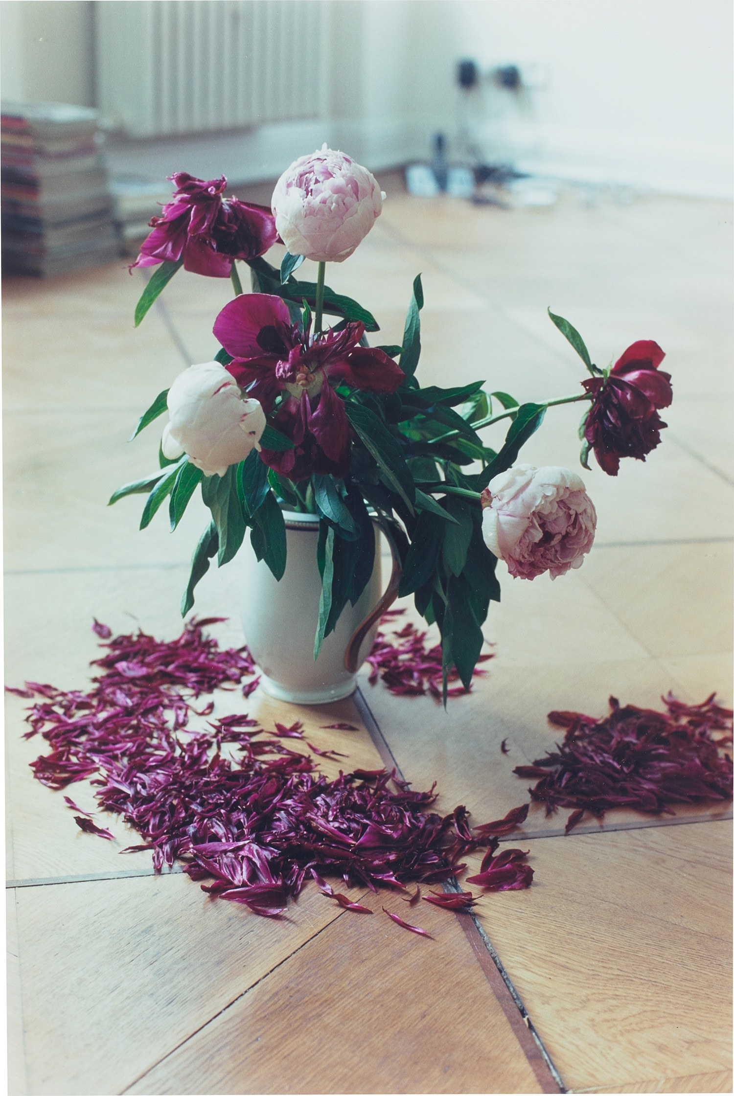 purple/wolfgang tillmans ティルマンス NOW IN PAPERBACK! Wolfgang Tillmans: Abstract Pictures
