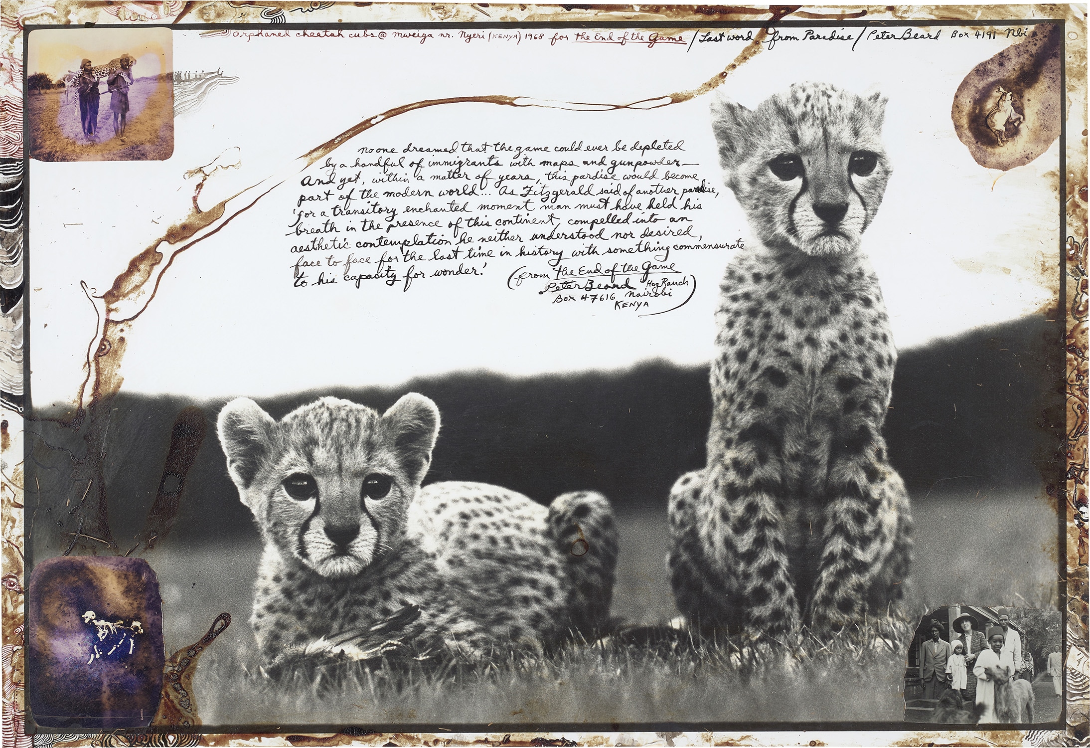 Brought to you by Phillips