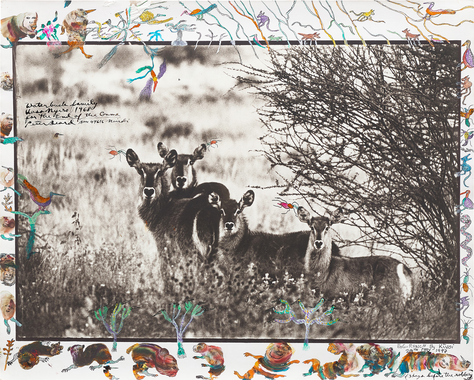 Brought to you by Phillips