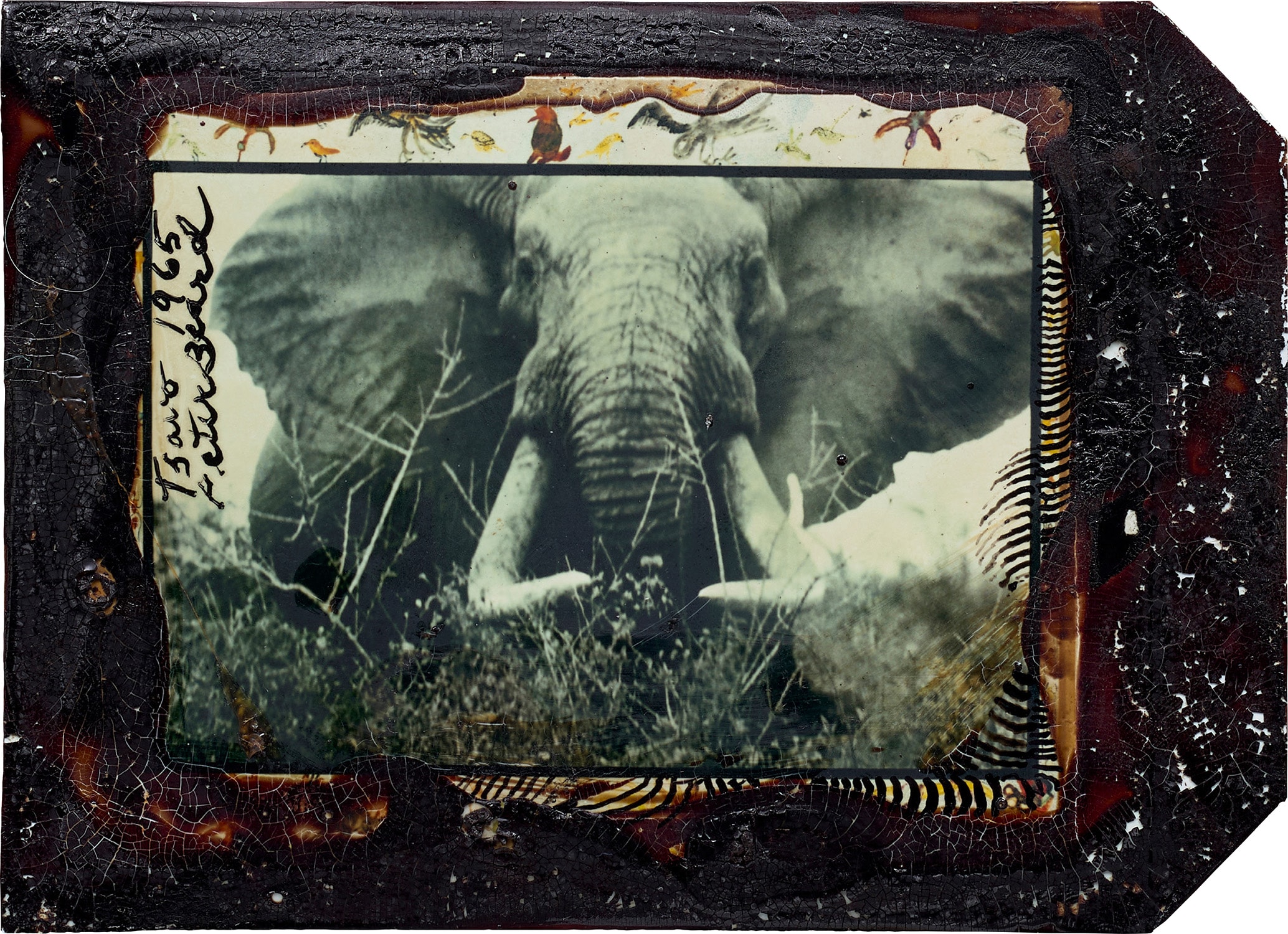 Brought to you by Phillips