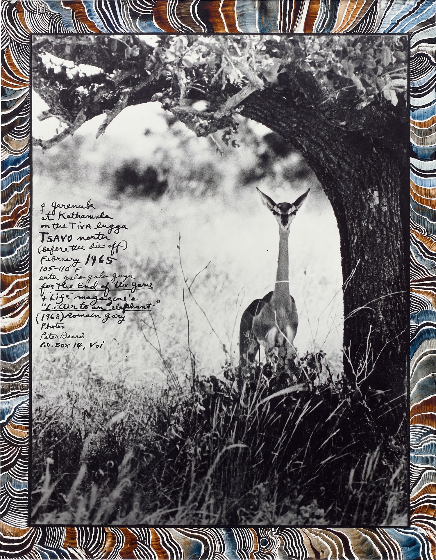 Brought to you by Phillips