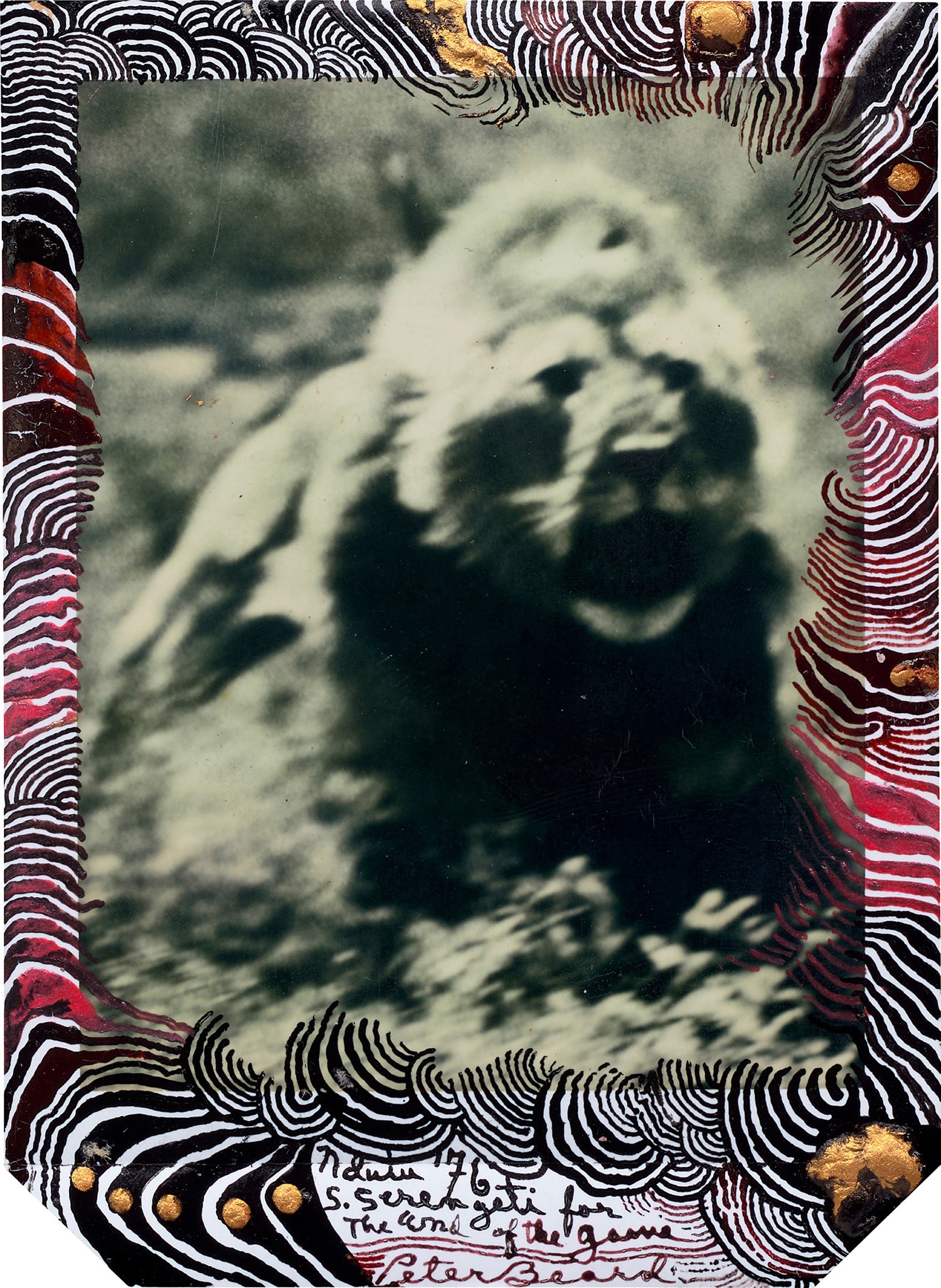 Brought to you by Phillips