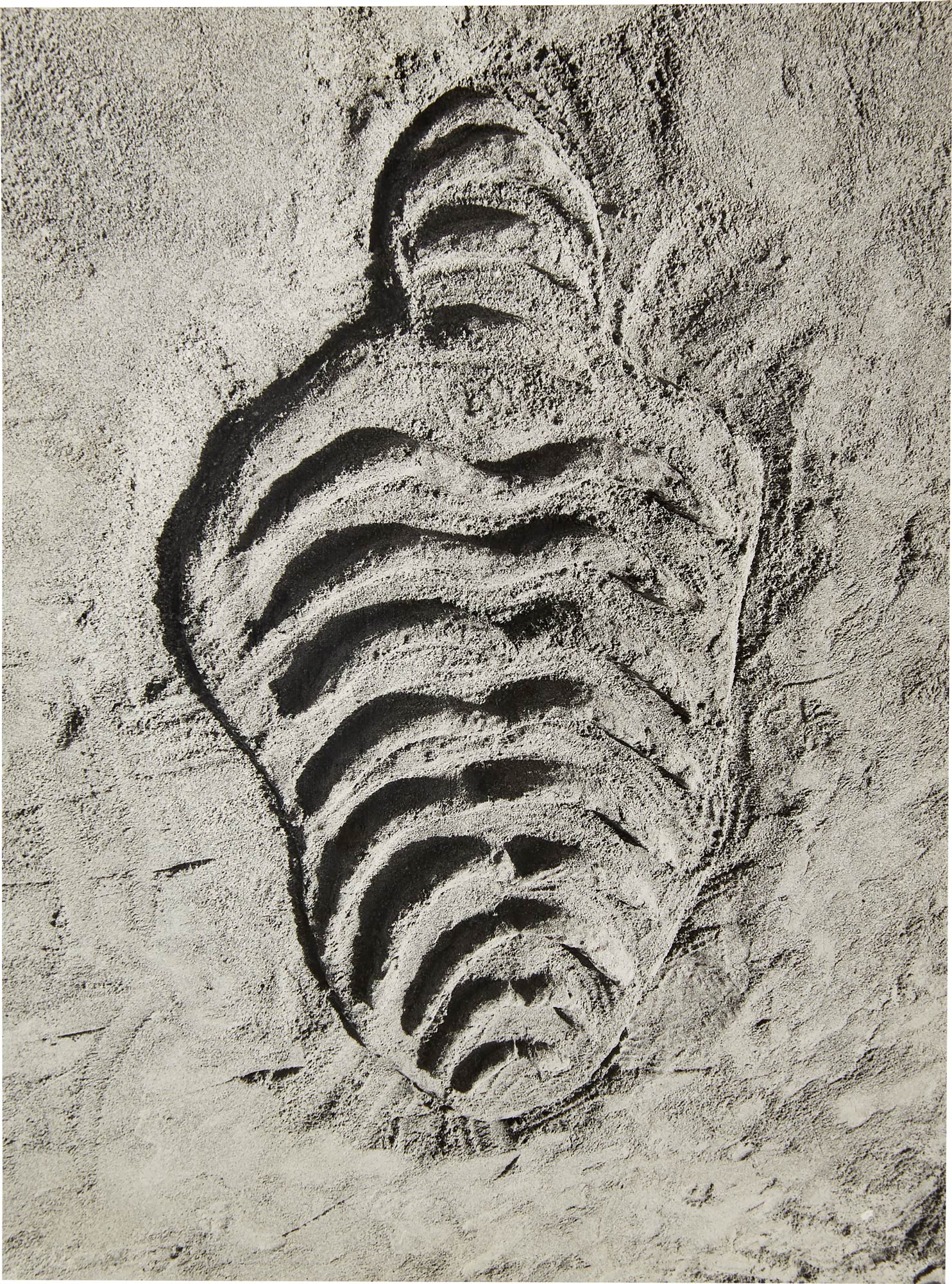 <p><strong>ANA MENDIETA</strong><em> </em><em>Untitled</em><em> </em>from<em> Sandwoman</em>, 1983</p>