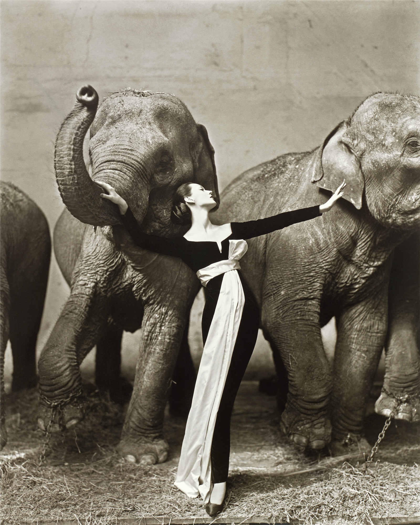 <p><strong>RICHARD AVEDON</strong> <em>Dovima with Elephants, Evening Dress by Dior, Cirque d&#39;Hiver, Paris, August, </em>1955</p>
