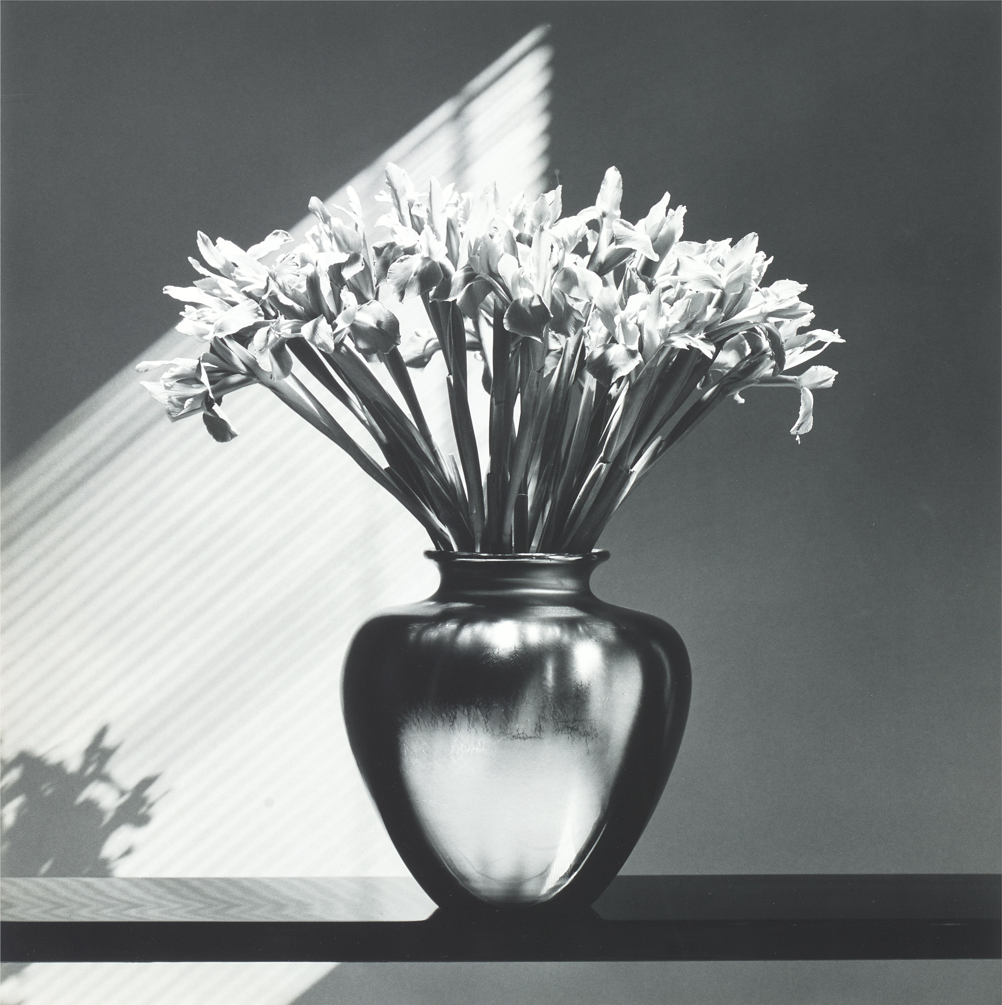 <p><strong>ROBERT MAPPLETHORPE</strong> <em>Irises</em>, 1986</p>
