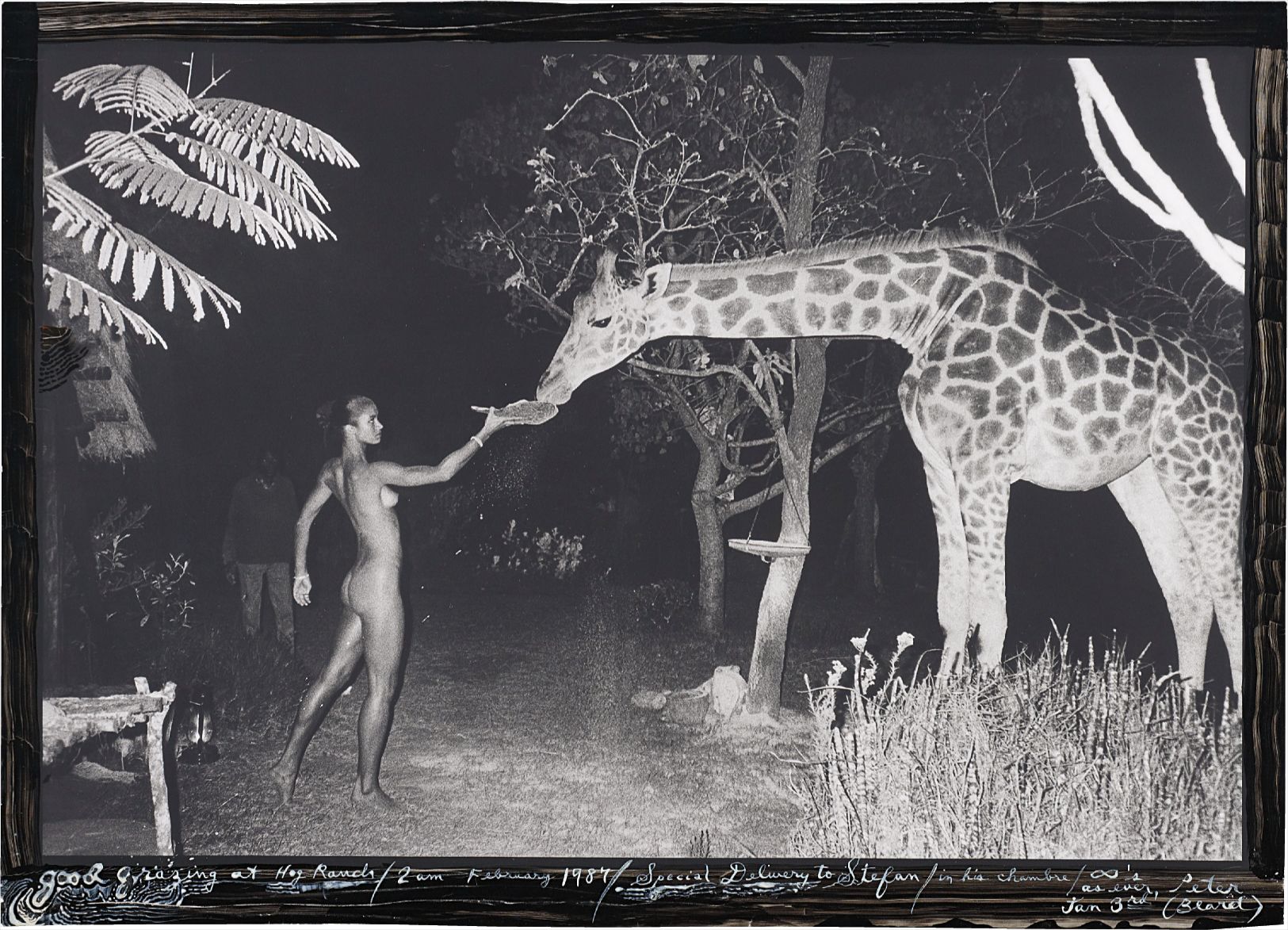 Brought to you by Phillips