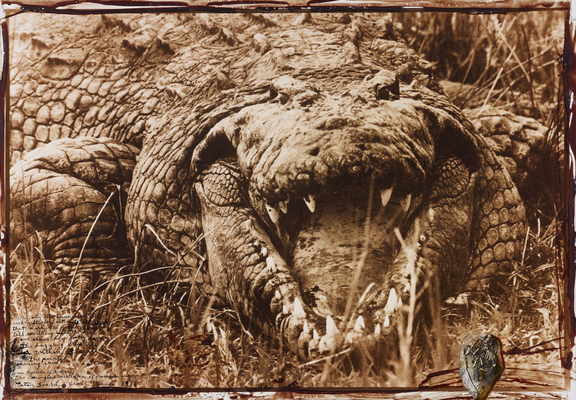 <b>PETER BEARD</b> <i>Eyelids of Morning: The Mingled Destinies of Crocodiles and Men, Chobe, Uganda</i>, 1966