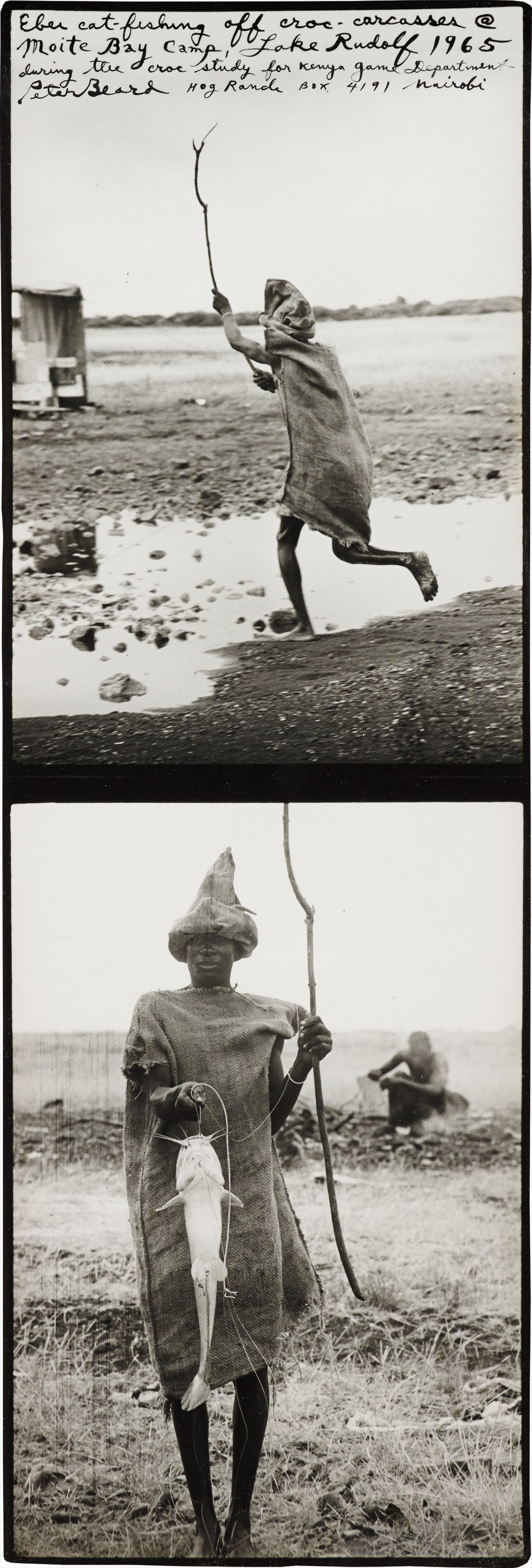 Brought to you by Phillips