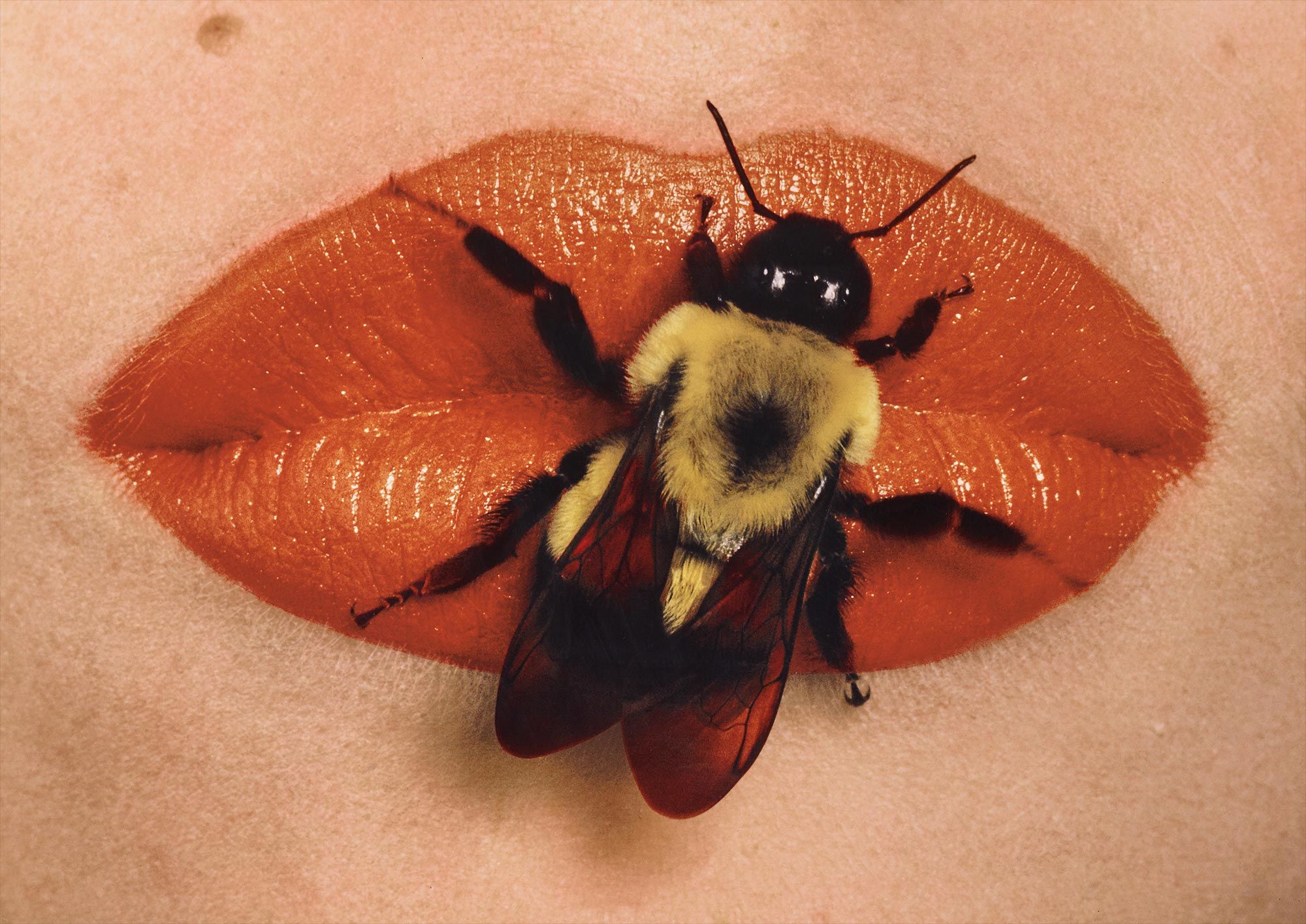 <b>IRVING PENN</b> <i>Bee on Lips, New York</i>, 1995