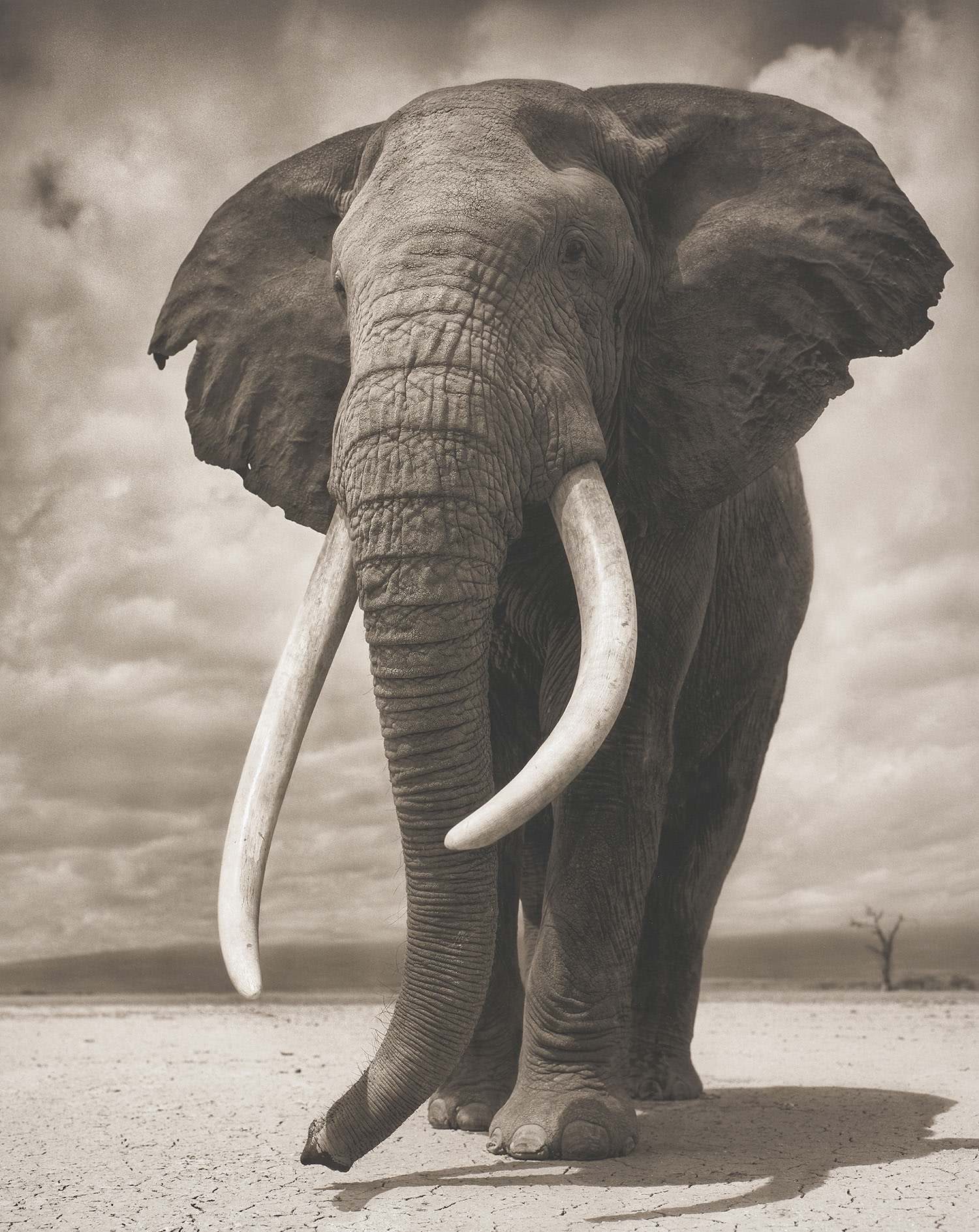 Brought to you by Phillips