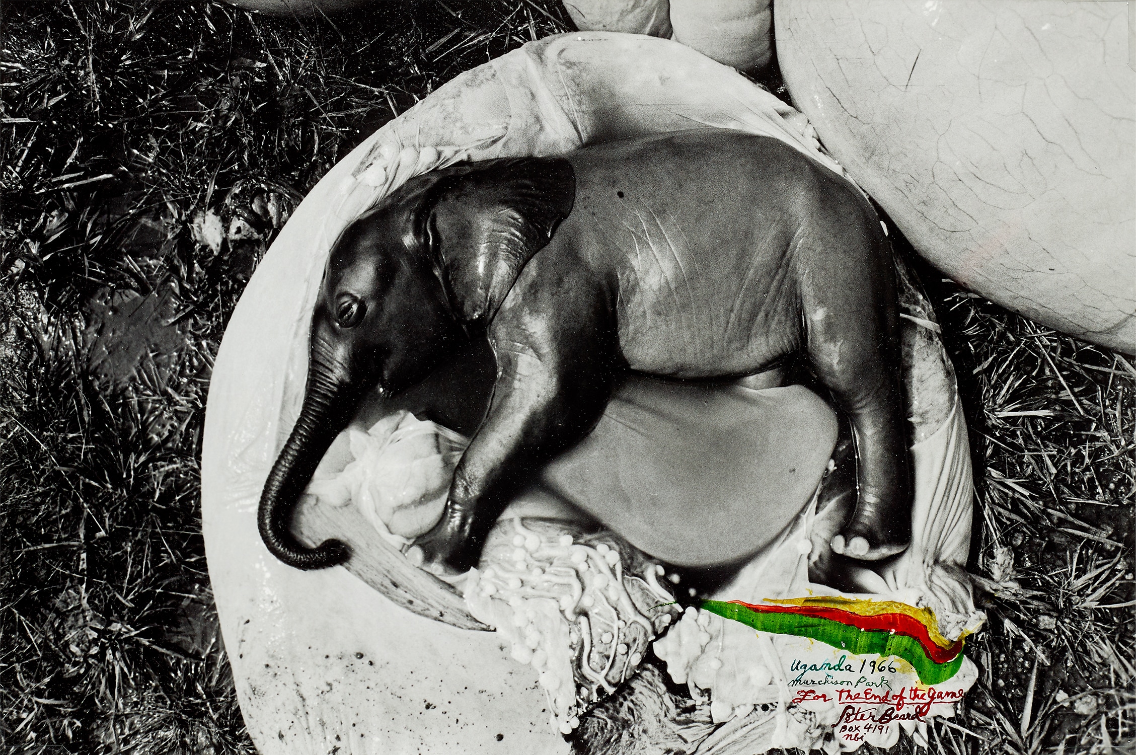 Brought to you by Phillips