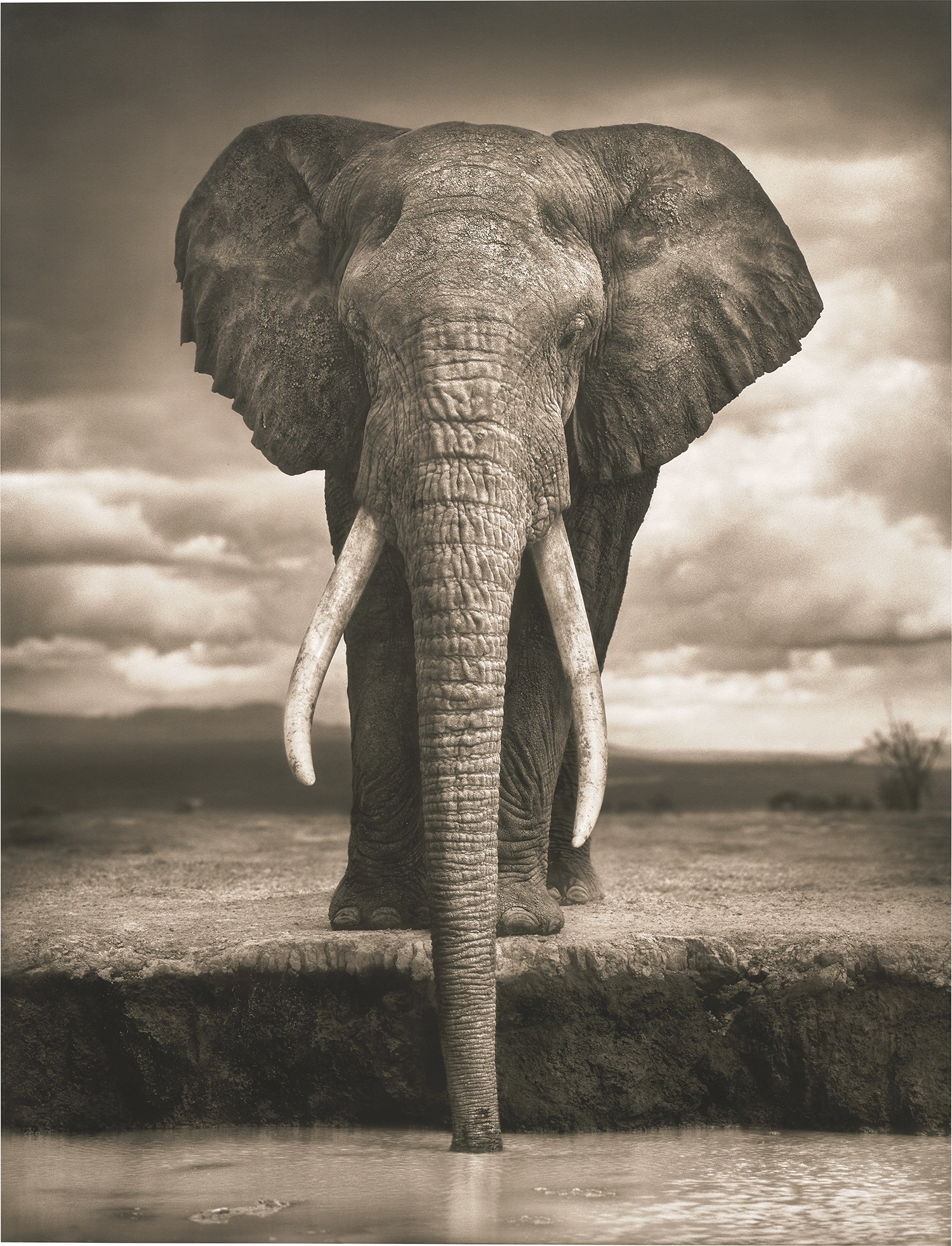 Brought to you by Phillips