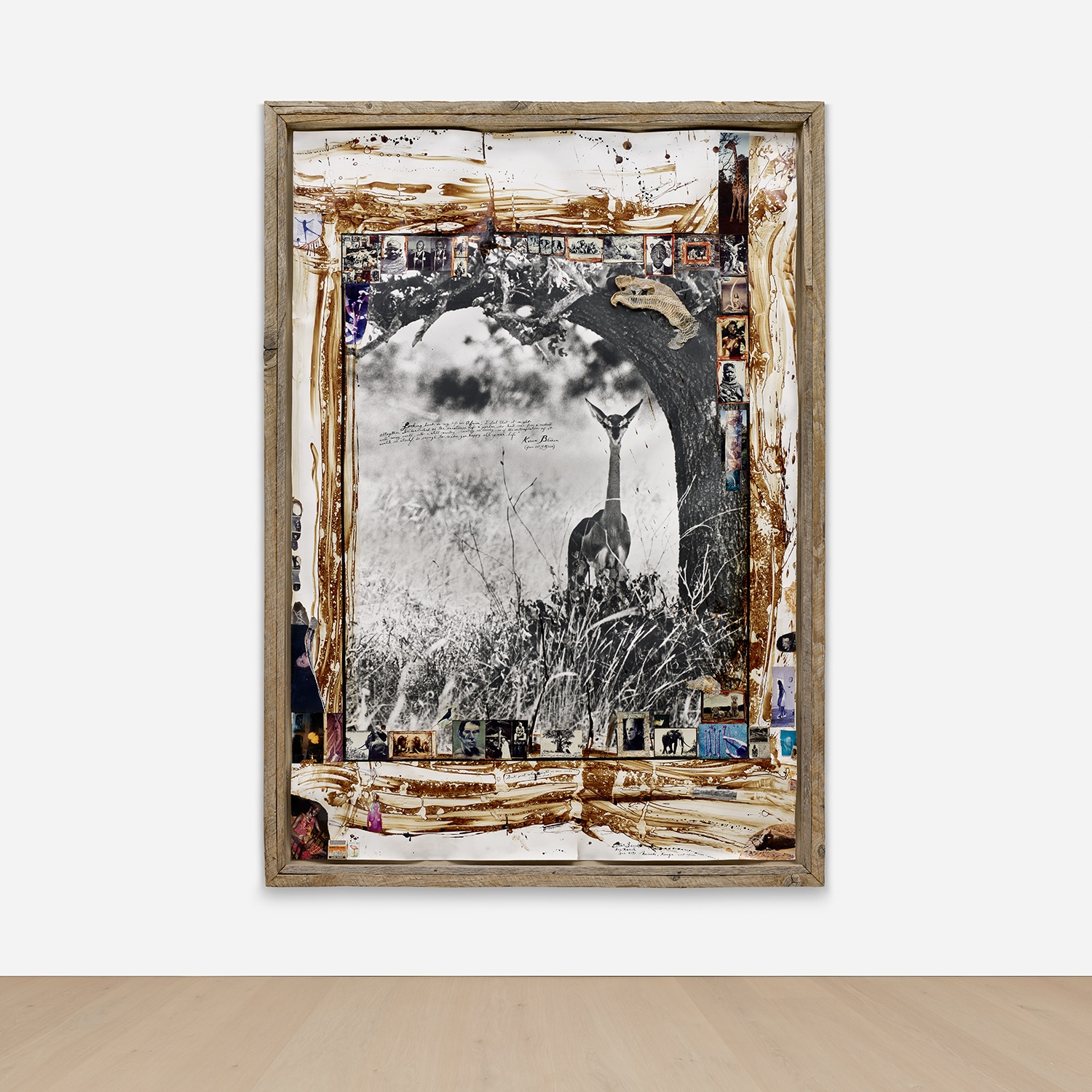 Peter Beard - Photographs, London Thursday, November 21