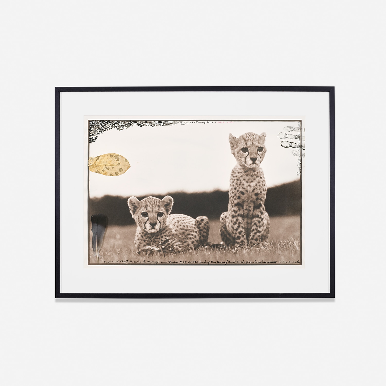 Peter Beard Photographs