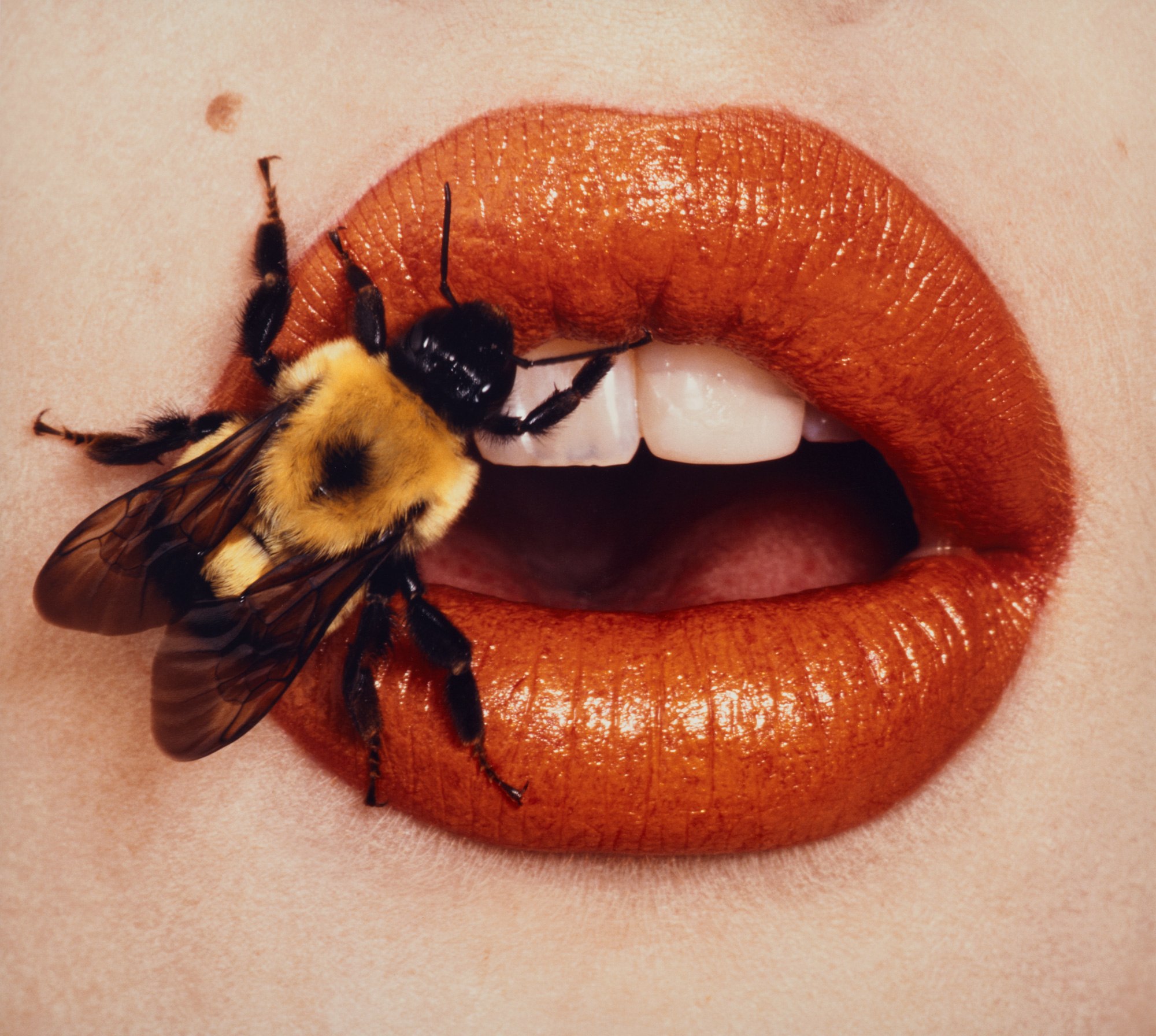 <p><strong>IRVING PENN</strong> <em>Bee (A), New York, September</em>, 1995</p>
