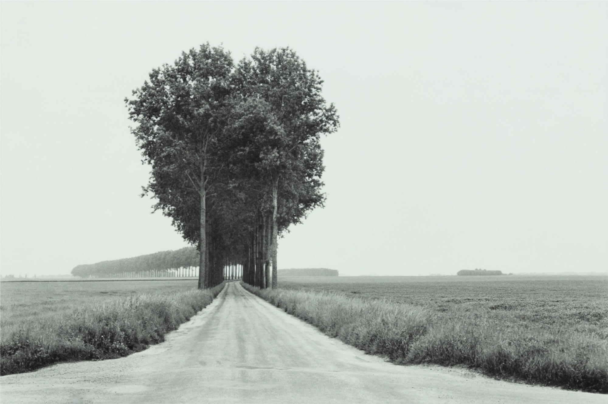 <p><strong>HENRI CARTIER-BRESSON</strong> <em>Brie</em>, <em>France</em>, 1968</p>