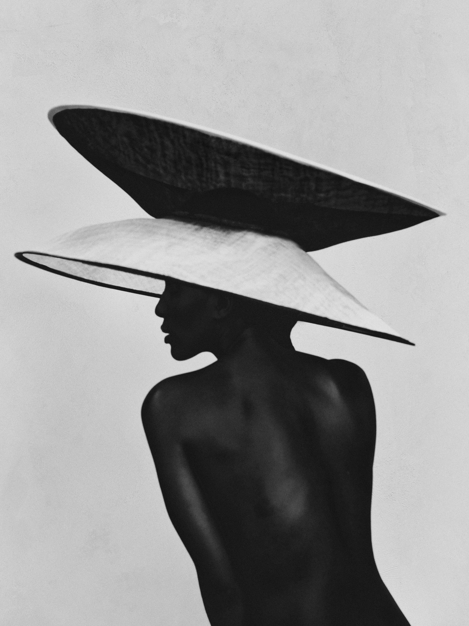 <p><strong>BASTIAAN WOUDT </strong><em>Papillon,</em> 2021</p>