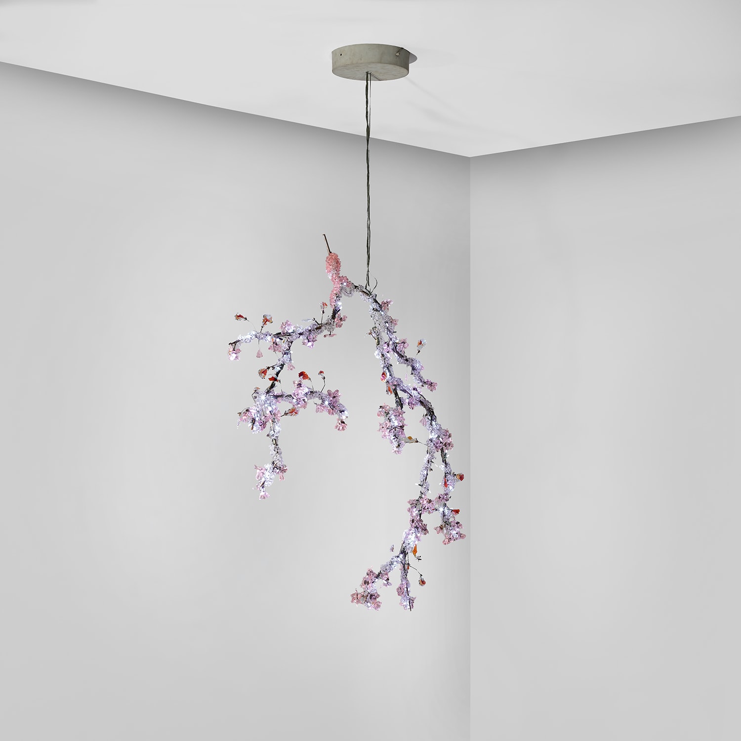 SWAROVSKI × Tord Boontje オーナメント Winter Sparkle Collection · Tord Boontje