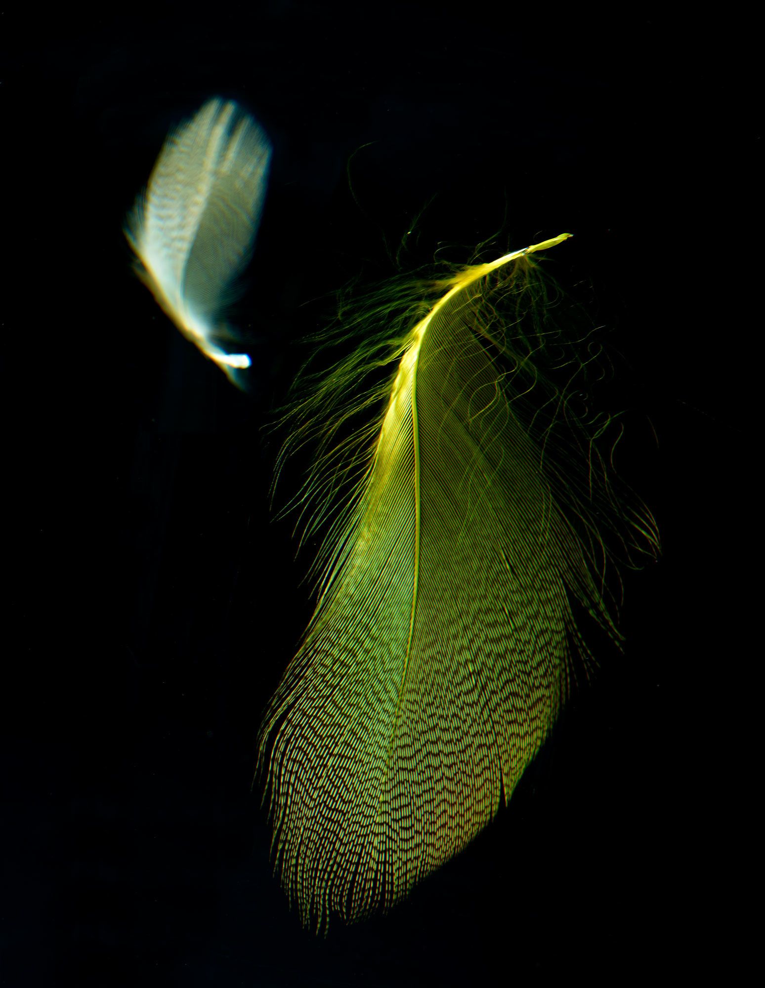 <b>SHIRO KURAMATA</b> <i>'Acrylic stool', designed for the Spiral boutique, The Axis Building, Roppongi, Tokyo,</i> designed 1990, executed circa 1990