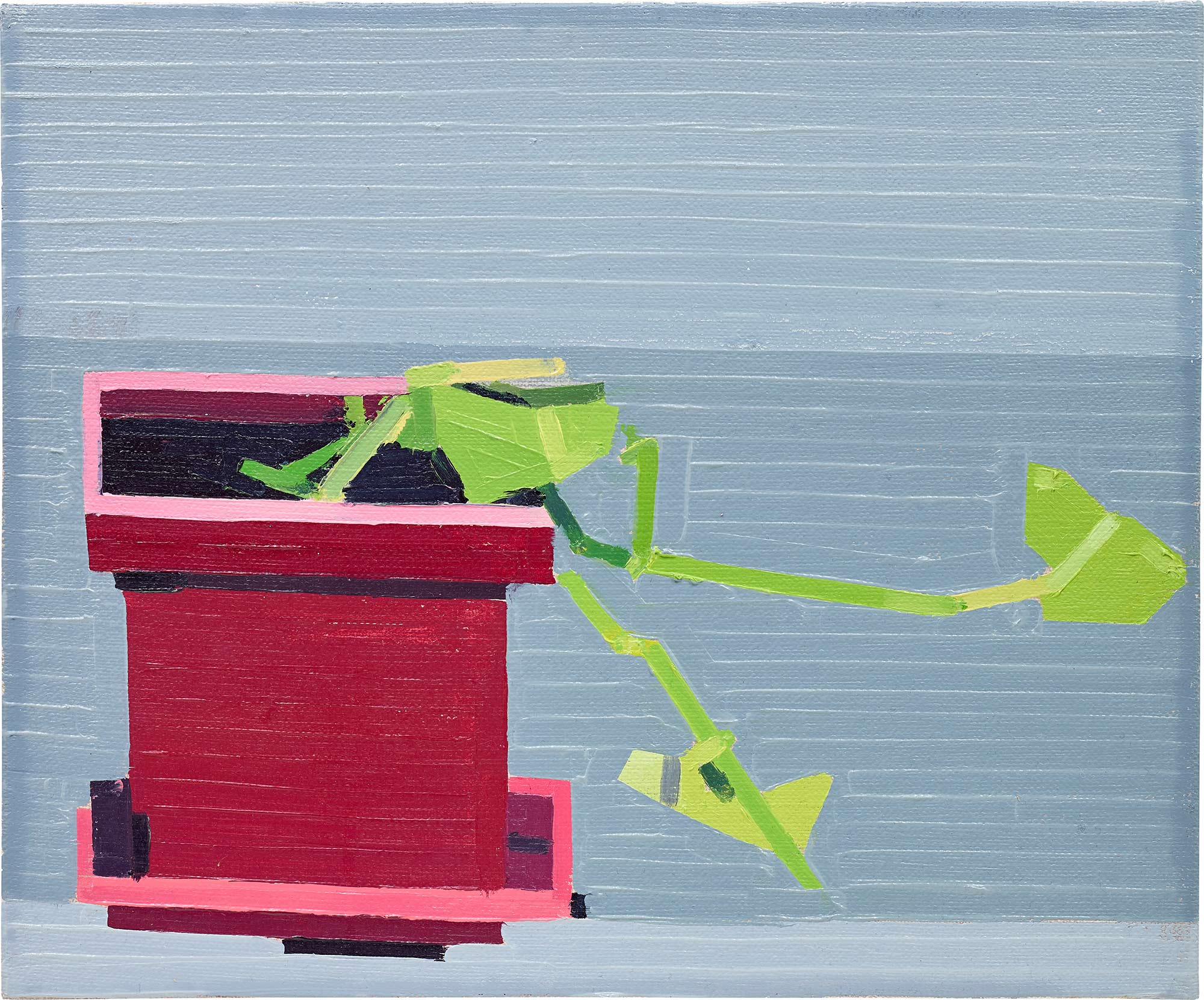 <p><strong>GUY YANAI </strong><em>Plant from Lisbon</em>, 2015</p>

