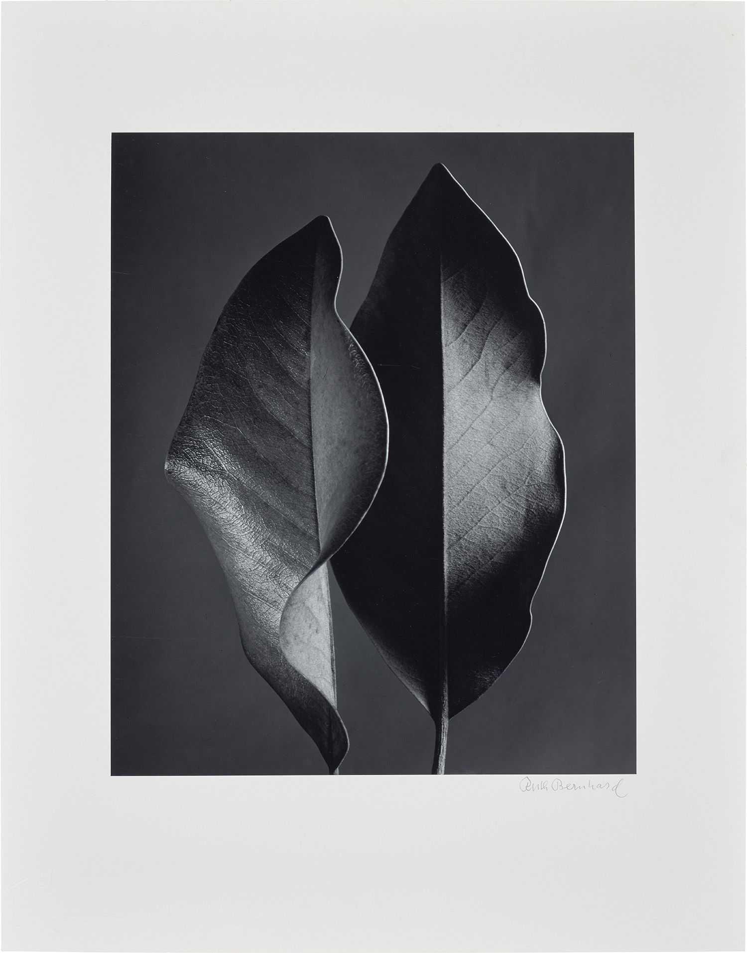 Ruth Bernhard Wired: Online Auction