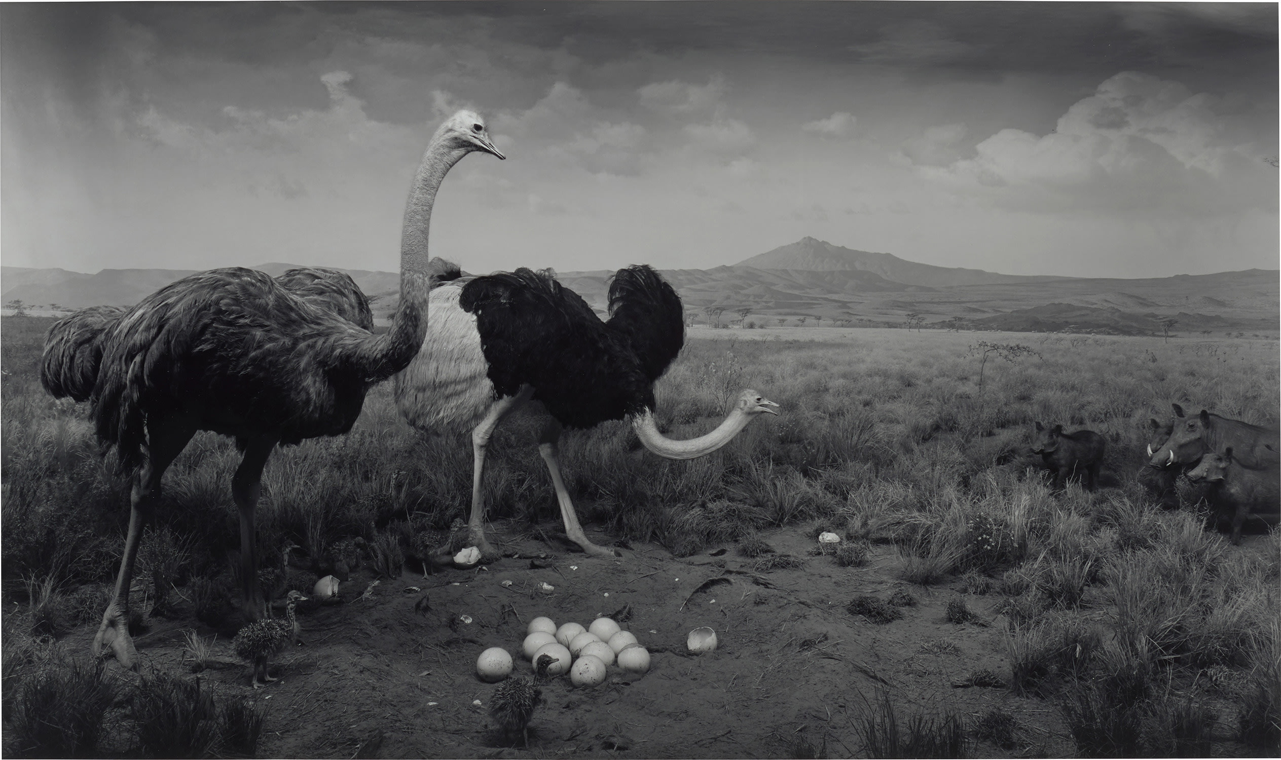 Brought to you by Phillips