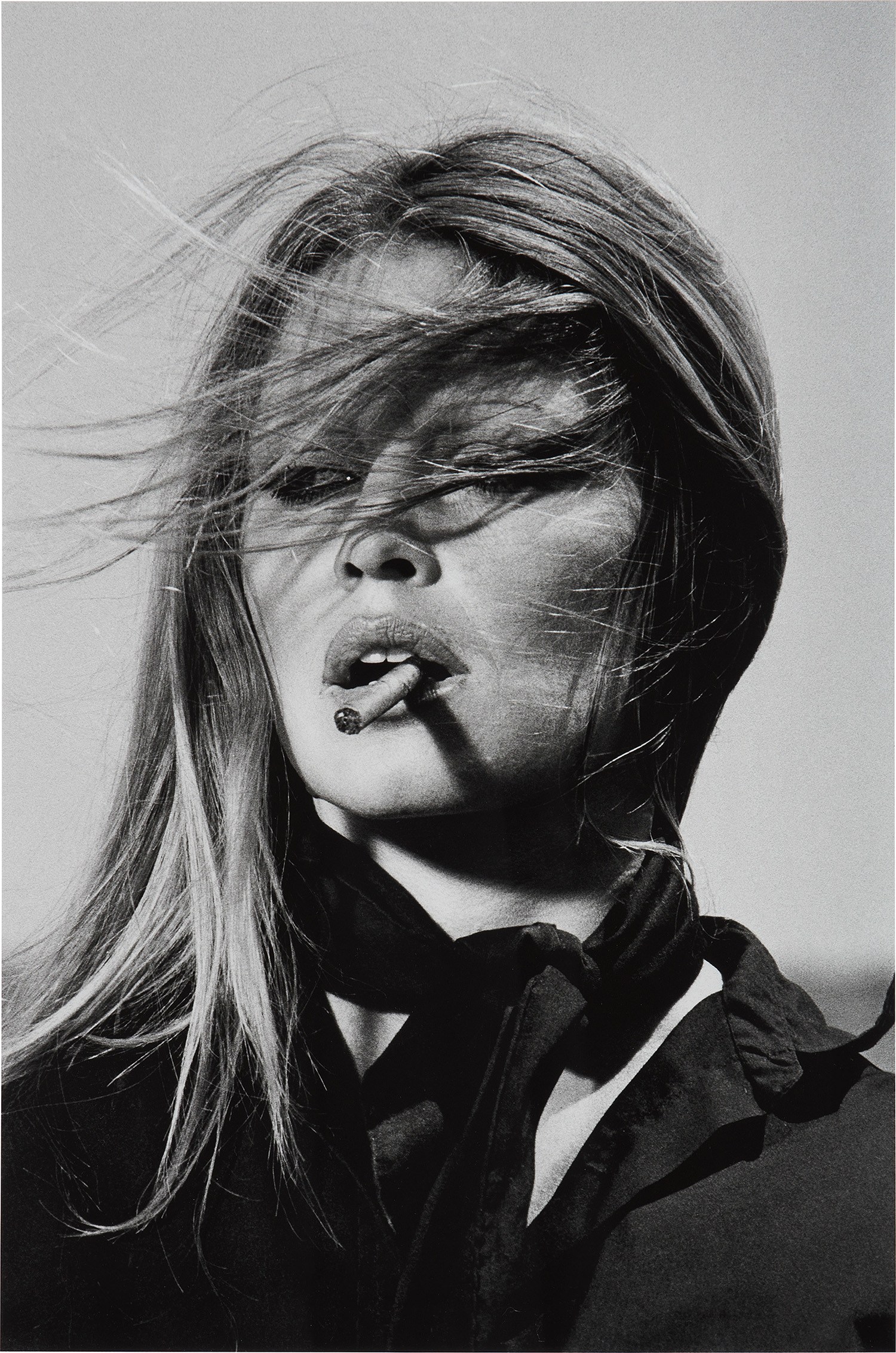 Wolfgang Tillmans Bloom: Online Auction