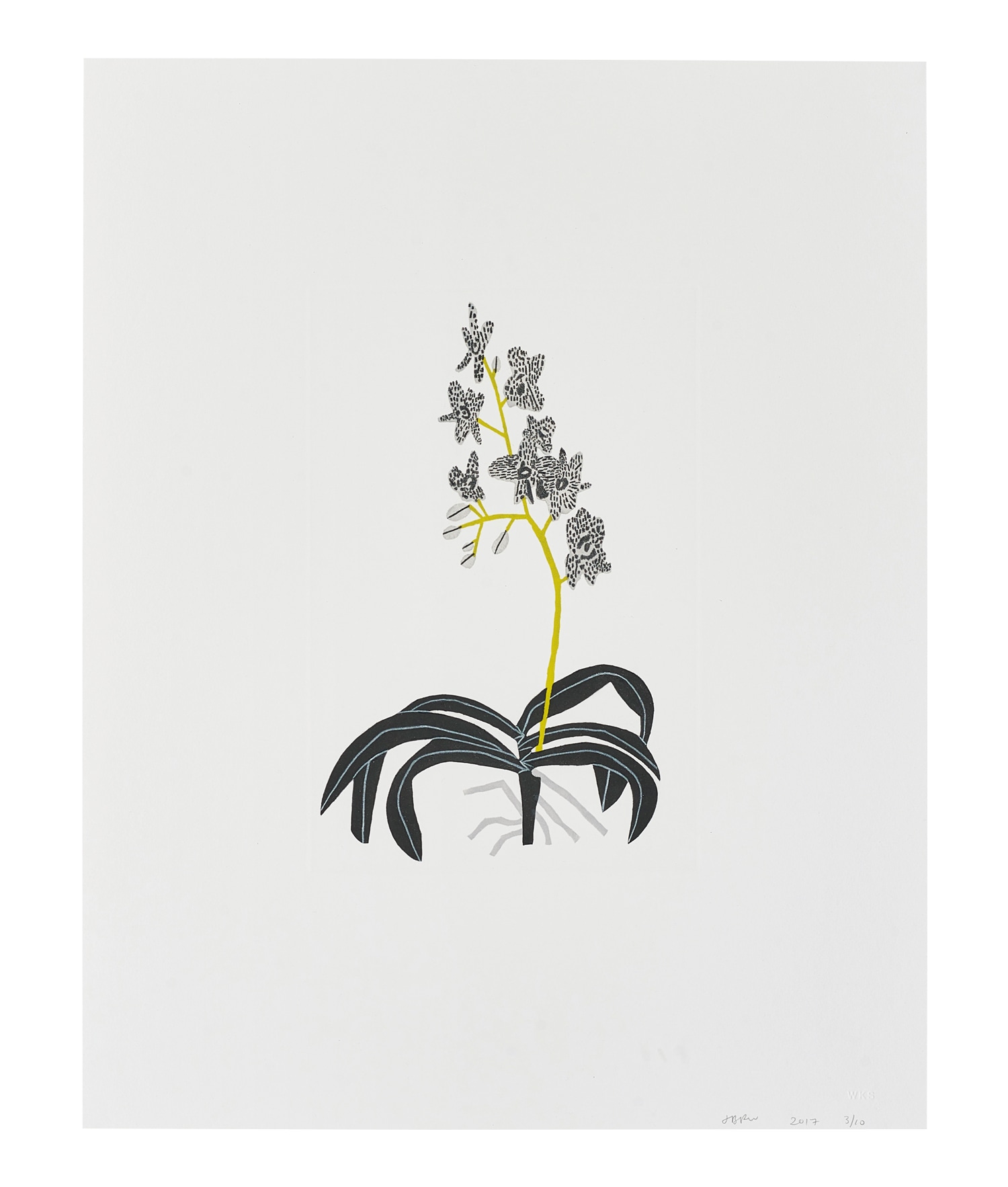 <p><strong>JONAS WOOD&nbsp;</strong><em>Black and Grey Clipping</em>, 2017</p>
