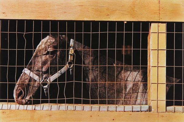 Phillips: NY040115, William Eggleston