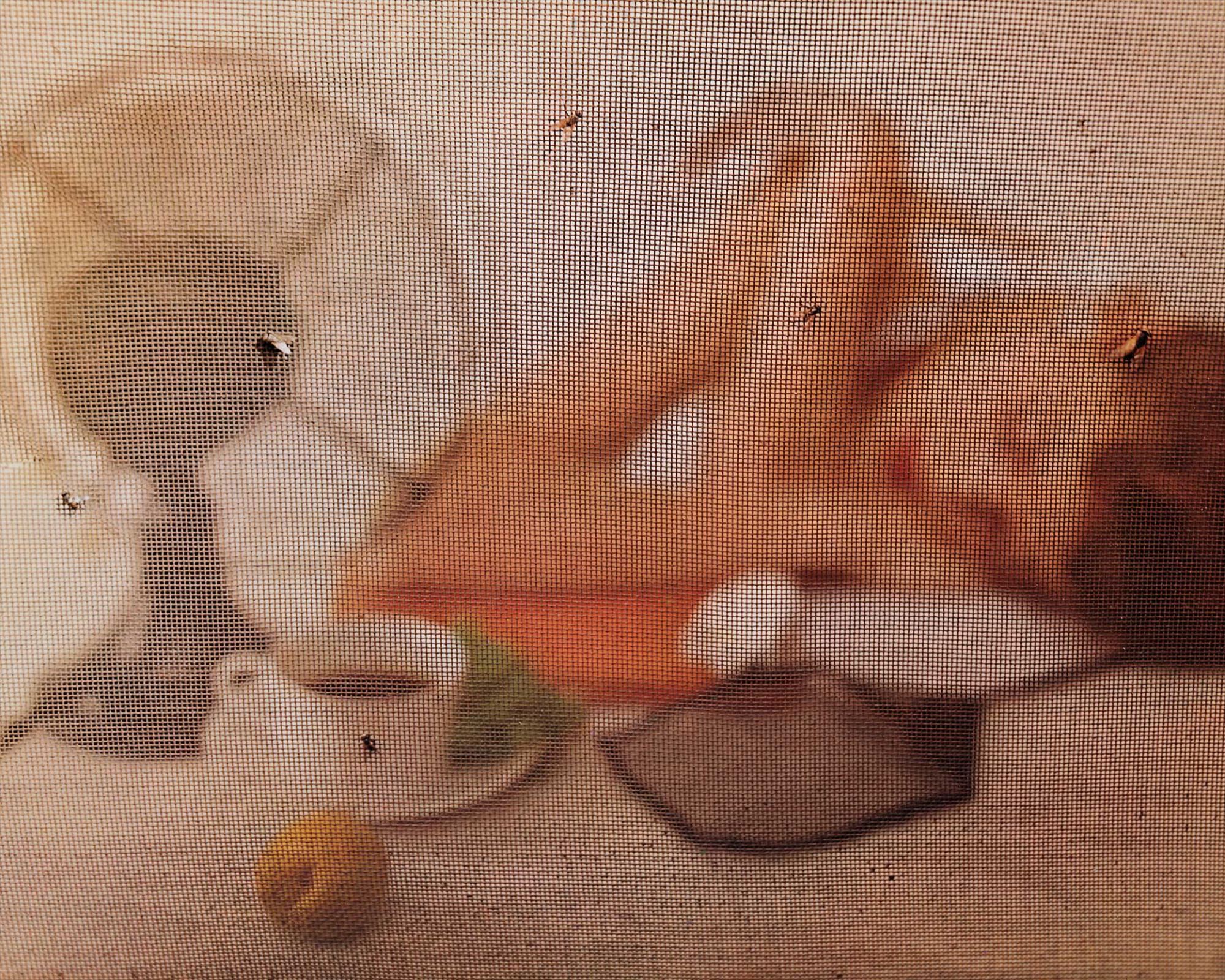 Photographs