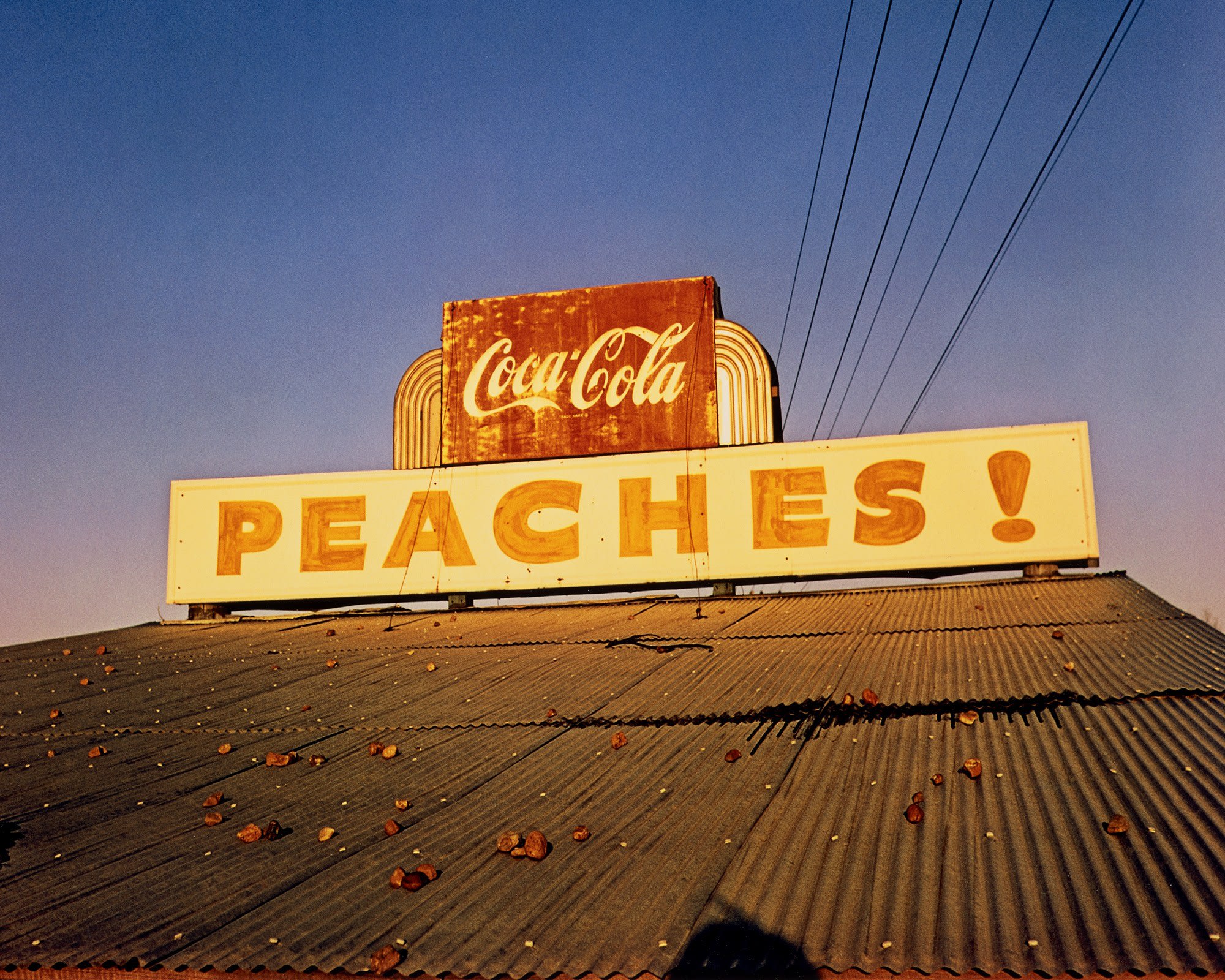 Color Vision: Masterworks by William Eggleston from Guy Stricherz and Irene Malli