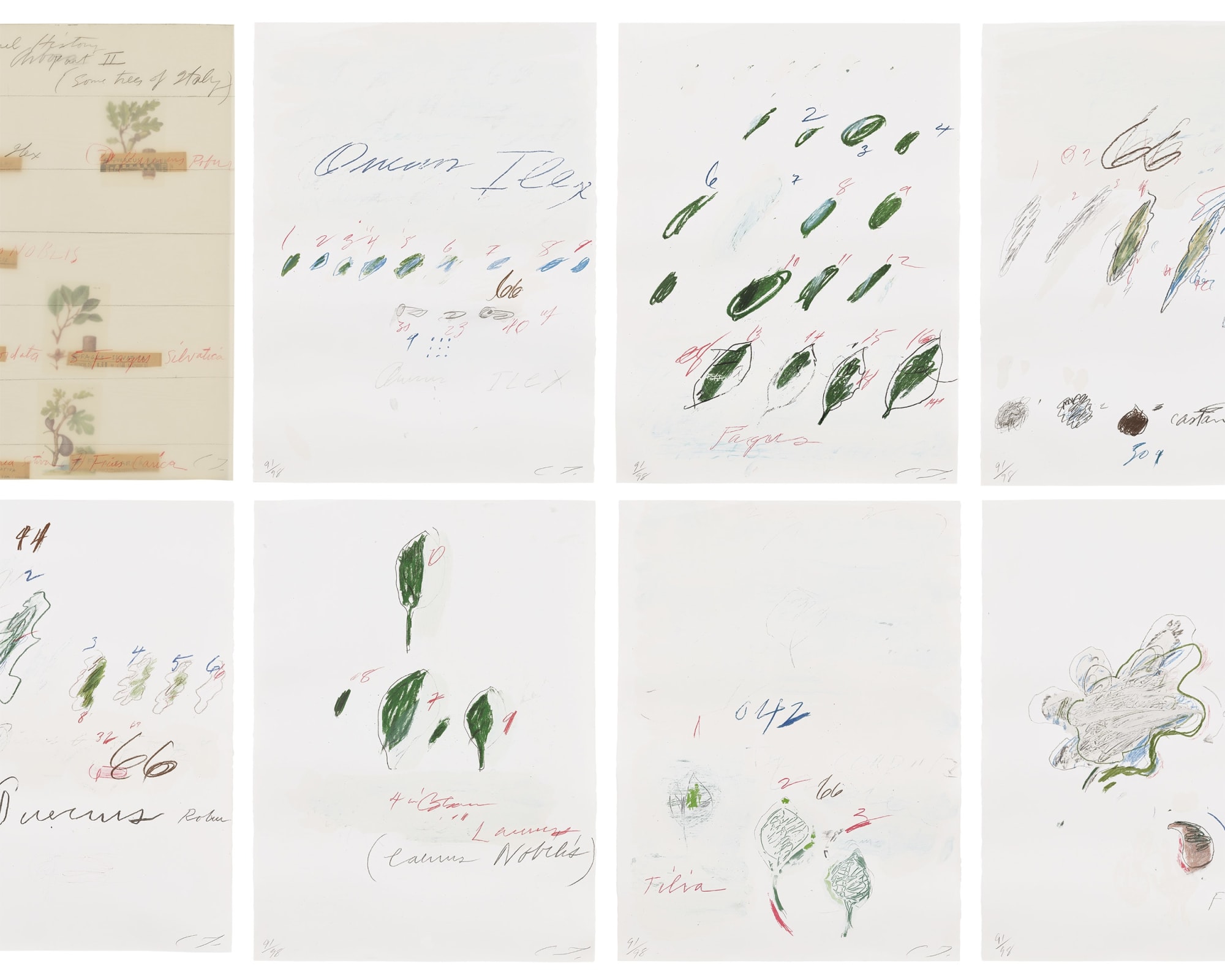 art_Andy_Warhol_bald_eagle__58