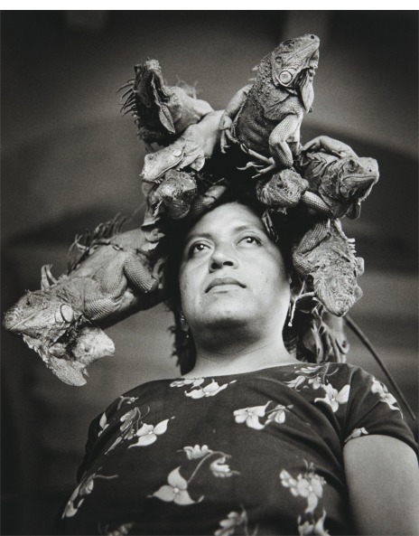 Graciela Iturbide: Works for Sale, Upcoming Auctions & Past Results