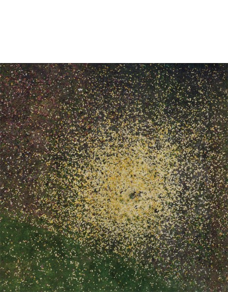 Andreas Gefeller: Works for Sale, Upcoming Auctions & Past