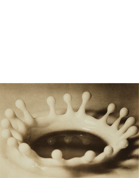Harold Eugene Edgerton: Works for Sale, Upcoming Auctions