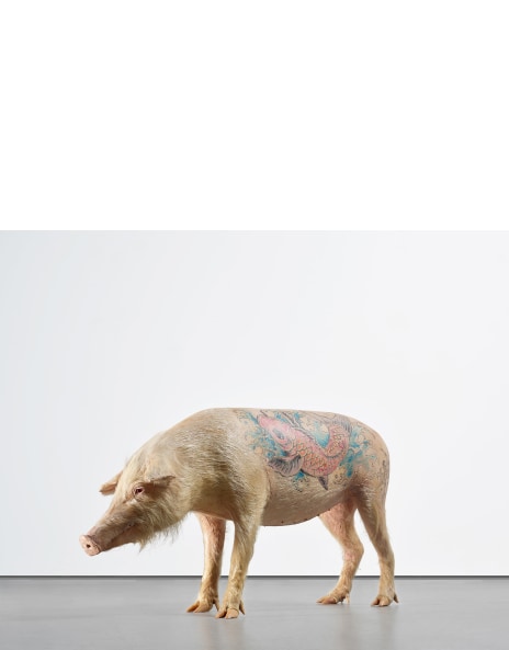 Wim Delvoye: Works for Sale, Upcoming Auctions & Past Results