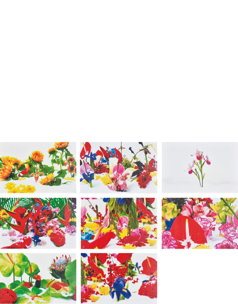 マーク・クイン　Marc Quinn: Incarnate Marc Quinn: Incarnate: Quinn, Marc: 9781861540485: Amazon