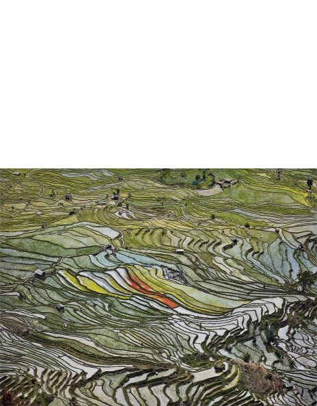 Edward Burtynsky - Artworks for Sale & More