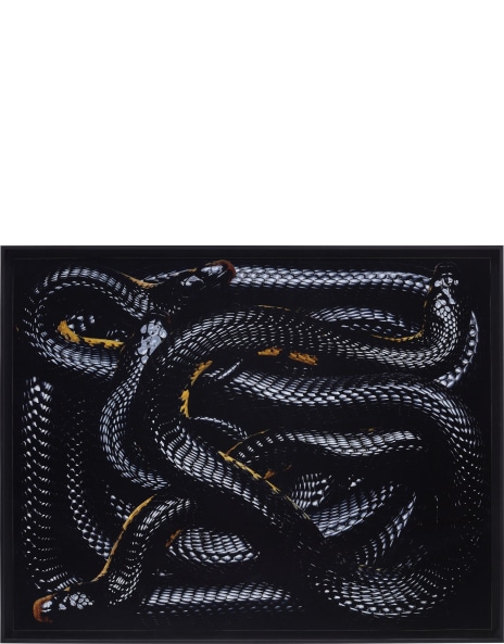 Guido Mocafico: Works for Sale, Upcoming Auctions & Past Results