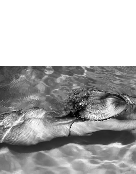 Michael Dweck: Works for Sale, Upcoming Auctions & Past Results