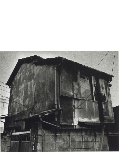 Ishiuchi Miyako: Works for Sale, Upcoming Auctions & Past