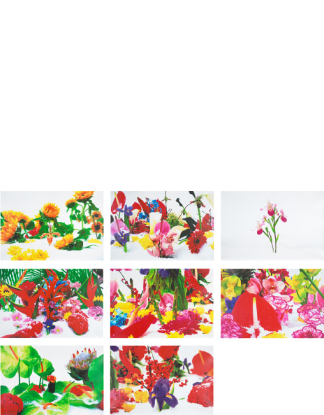 マーク・クイン　Marc Quinn: Incarnate 27291.jpg