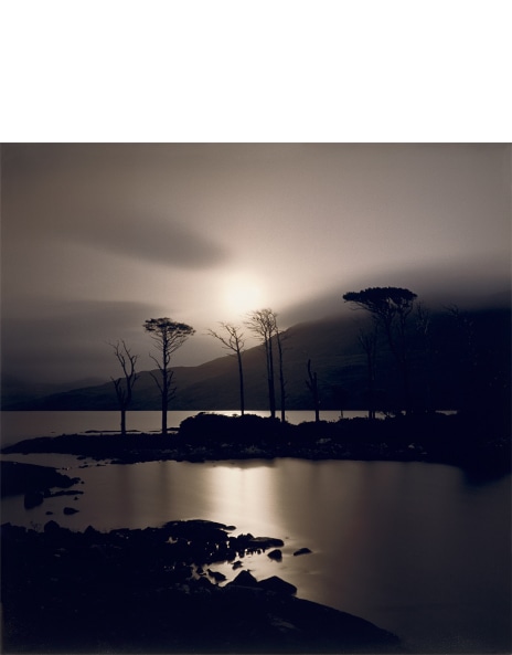 Darren Almond: Works for Sale, Upcoming Auctions & Past Results