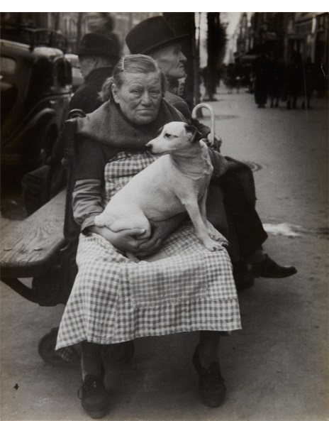 Cerisier du Japon, Mai 1983 by Edouard Boubat - 22 X 32